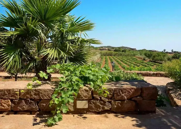 Dammusi Barone Дом отдыха Scauri (Sicily)